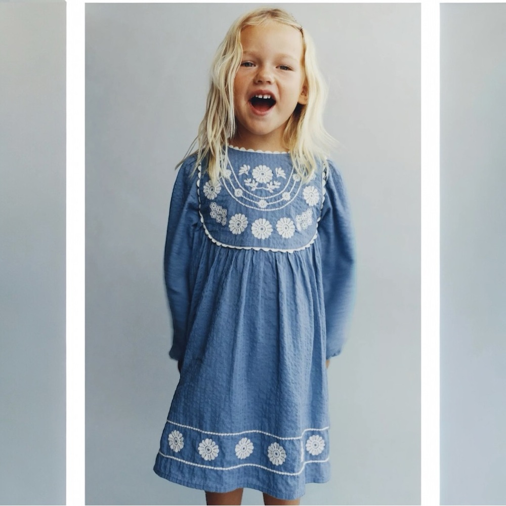 Zara Blue Floral Embroidered Dress Size 4 NWT
